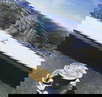 Swindlers - Pet Food Australia