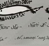 Williamstown Mussels - Food Delivery Shop