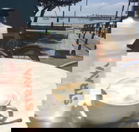 Dome - Bunbury - Pet Food Australia