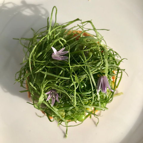 Drink Ottelia + Eat Fodder - Food Delivery Shop 1