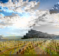 Fallen Giants Vineyard - Food Delivery Shop