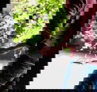 Giant Steps Cellar Door - Pet Food Australia