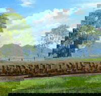 Hillview Herb Farm - Pet Food Australia