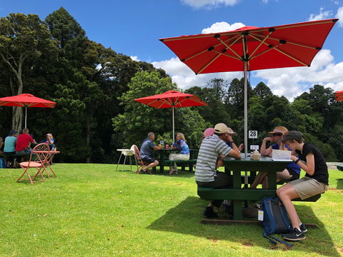 Poppies  Cafe - Food Delivery Shop 1