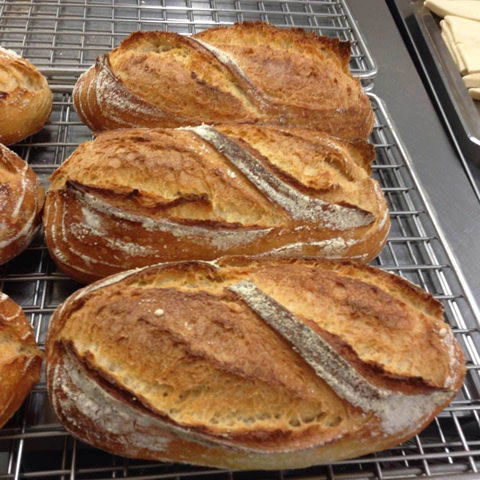 Harvest Boulangerie Patisserie - Food Delivery Shop 0