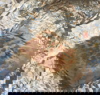 Mad Mex Fresh Mexican Grill - Food Delivery Shop