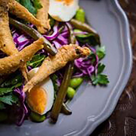 Dog And Monocle - Pet Food Australia 2