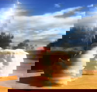 Fork it Farm - Food Delivery Shop