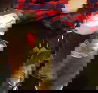 Nicola's Ristorante - Pet Food Australia