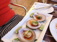 Sirocco Noosa