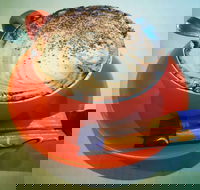 Sunshine Social - Food Delivery Shop