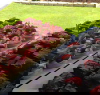 That Food Truck - Food Delivery Shop