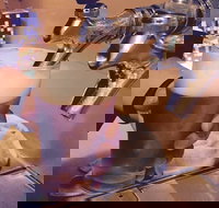 The Village Tavern - Pet Food Australia