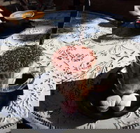 Gateaux By Marc Frissard - Food Delivery Shop