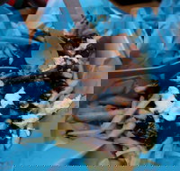 Hampton Wine Co - Food Delivery Shop