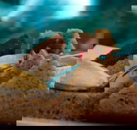 La Cantina - St Leonards - Food Delivery Shop