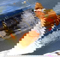 Mr Sushi - Pet Food Australia