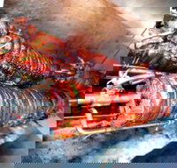 Nana Rosa's Kitchen - Pet Food Australia