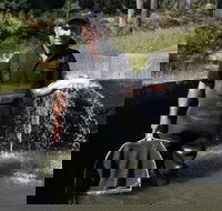 41 Degrees South Tasmania - Pet Food Australia