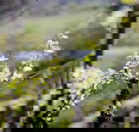 Barrgowan Vineyard - Food Delivery Shop