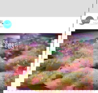 Cafe Invigor8 - Pet Food Australia