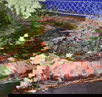 Casa Bianchi - Food Delivery Shop