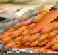 Mathoura Mandarins - Pet Food Australia