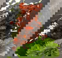 Royal India Restobar - Pet Food Australia