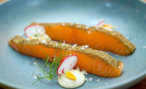 Seed Winehouse + Kitchen - Pet Food Australia 9