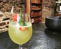 Seed Winehouse + Kitchen - Pet Food Australia 7