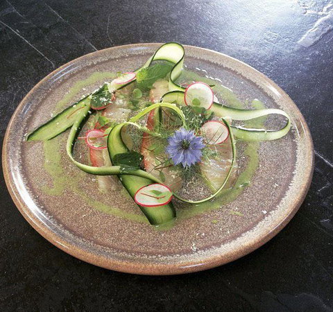 Seed Winehouse + Kitchen - Pet Food Australia 8