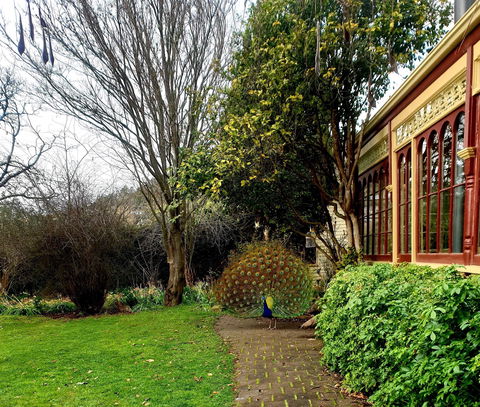 Glen Derwent Tea Rooms - Food Delivery Shop 0