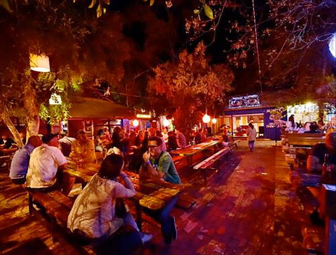 Montes Lounge - Pet Food Australia 0