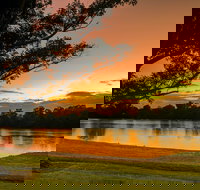 Three Birds Riverfront Restaurant - Pet Food Australia