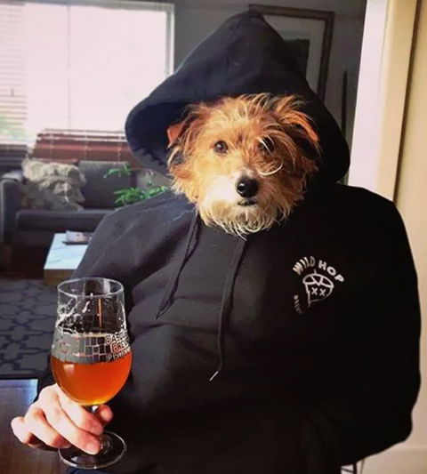 Wild Hop Brewing Company - Pet Food Australia 1