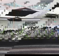 Basia Mille - Pet Food Australia