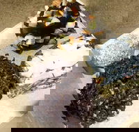 Frollicking Frog - Food Delivery Shop