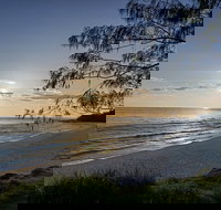 Mal Starkey's Seafood House - Pet Food Australia