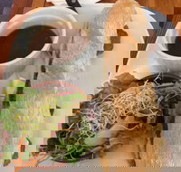 The Palms Cafe - Pet Food Australia