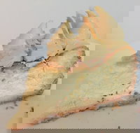 The Coffee Club - Cairns Central - Cairns - Pet Food Australia