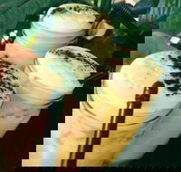 Chillers Cafe - Pet Food Australia