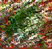 Mount Buninyong Winery - Pet Food Australia