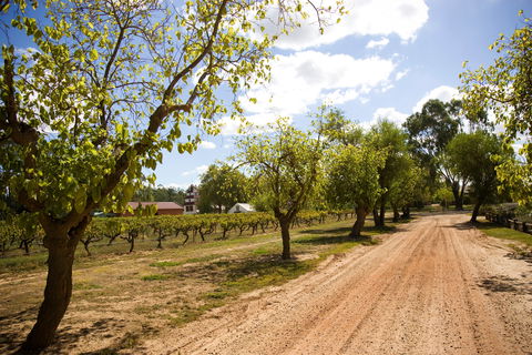 Tahbilk Winery And Vineyard - Pet Food Australia 1