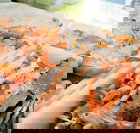 Rufus King Seafoods Amity Point - Pet Food Australia