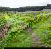 Suffoir Winery Brewery and Cidery - Food Delivery Shop