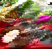 Al Shawi - Pet Food Australia