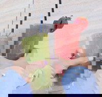 Linea Cafe - Pet Food Australia