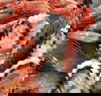 Mi Shells Seafood - Pet Food Australia