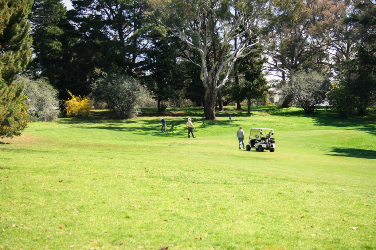 Woolgarlo ACT Pet Food Australia