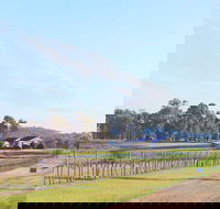 Blacklea Vineyard and Olive Grove - Pet Food Australia